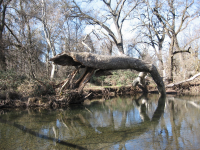 Views of Chico, California